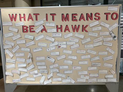 What it Means to be a Hamilton Hawk
